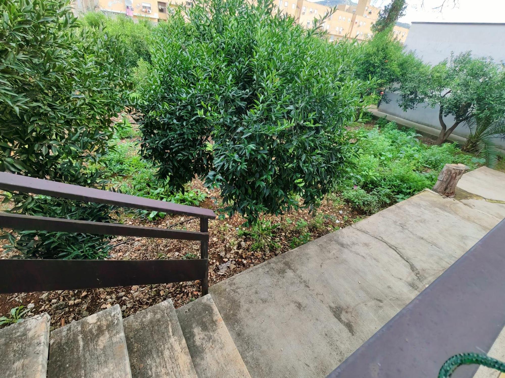 Giardino Delle Arance Luxury Rooms Palermo Buitenkant foto
